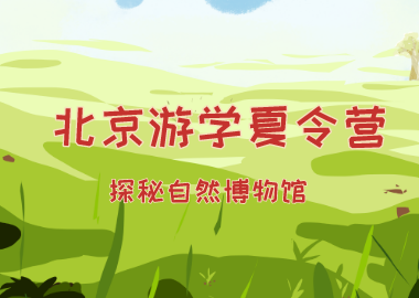 北京游学夏令营最后一天，探秘自然博物馆